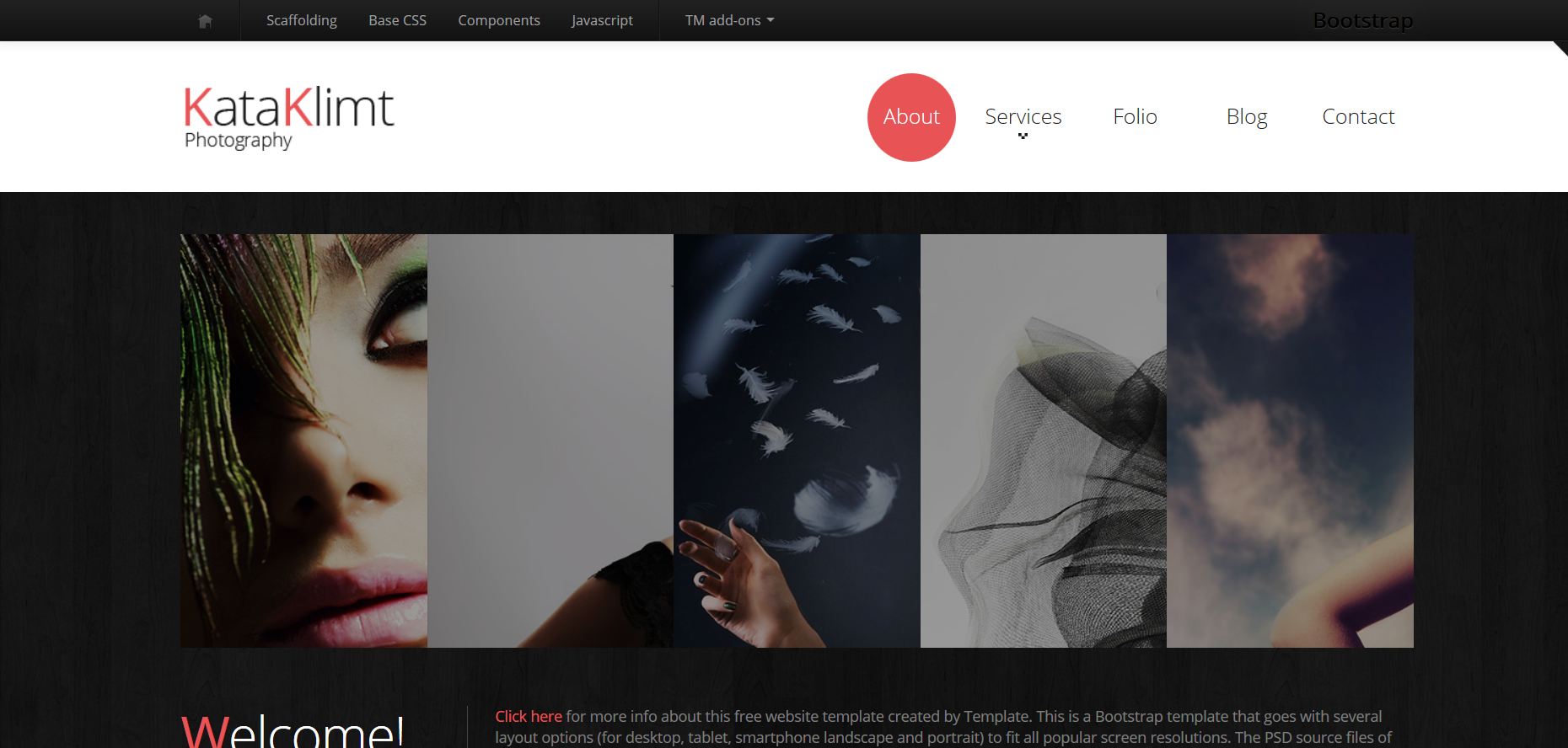 Шаблон сайта Дизайн №51